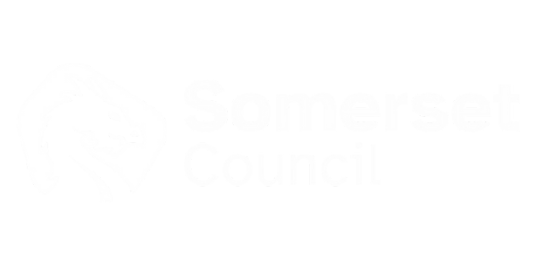 Moore Insight | Somerset Council