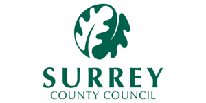 Moore Insight _ Surrey County Council