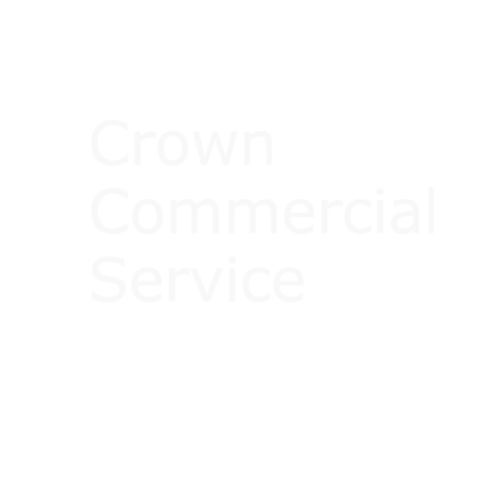 Moore Insight | Crown Commercial Service Supplier